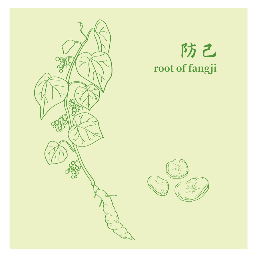 防己