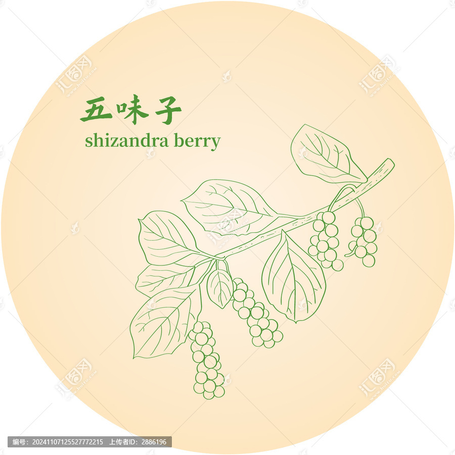 五味子