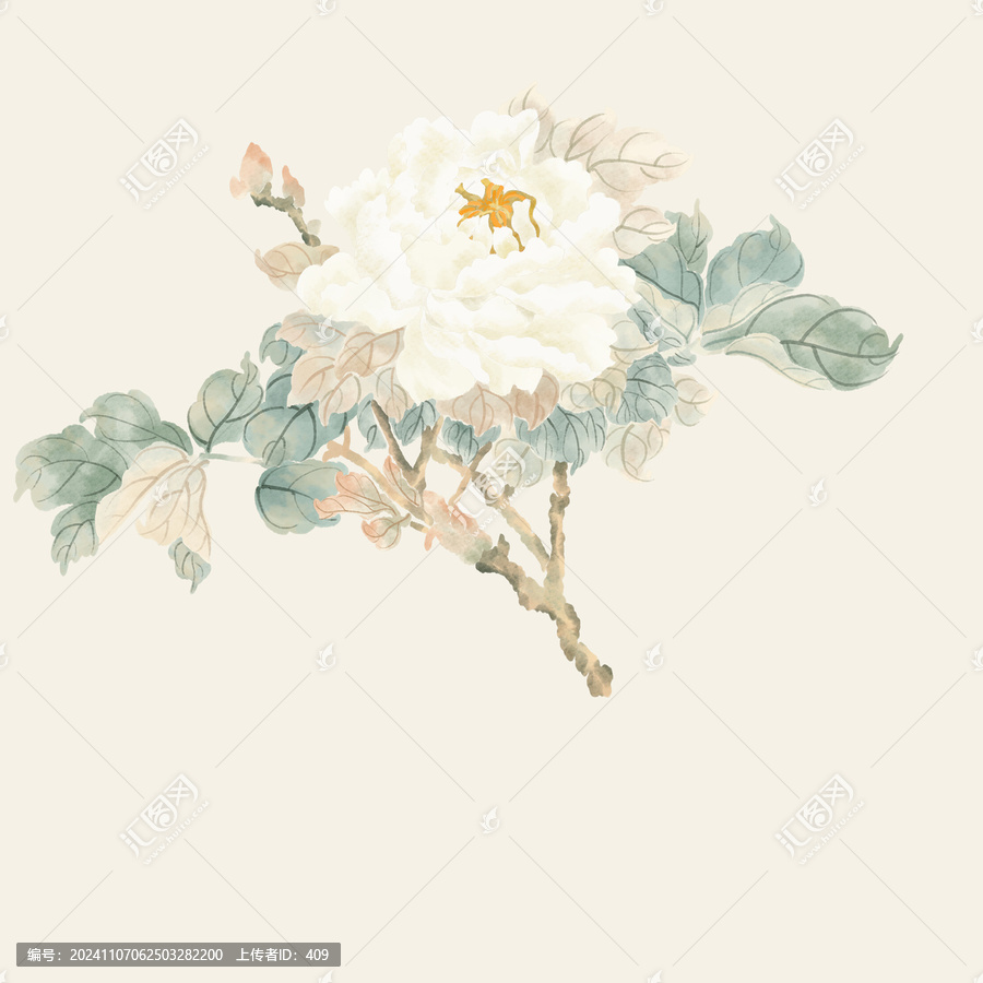 牡丹國風插畫