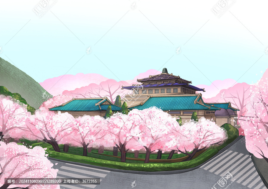行政樓櫻花