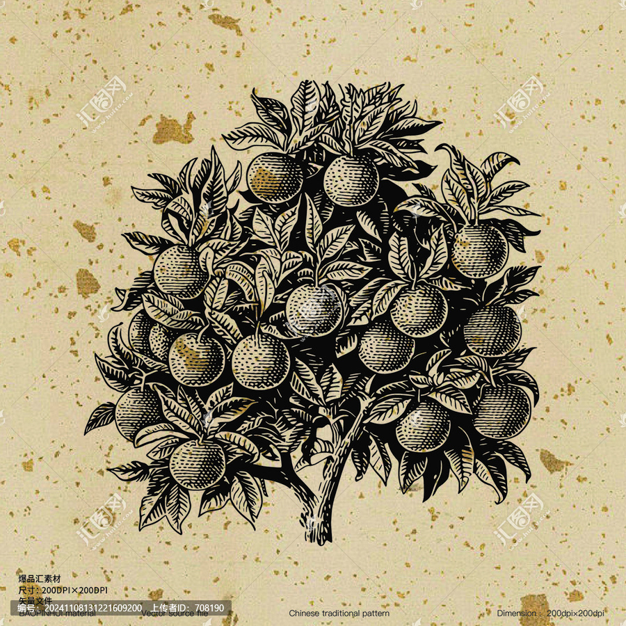 素描橘子樹(shù)版畫(huà)矢量橘子桔子素材線(xiàn)描水果