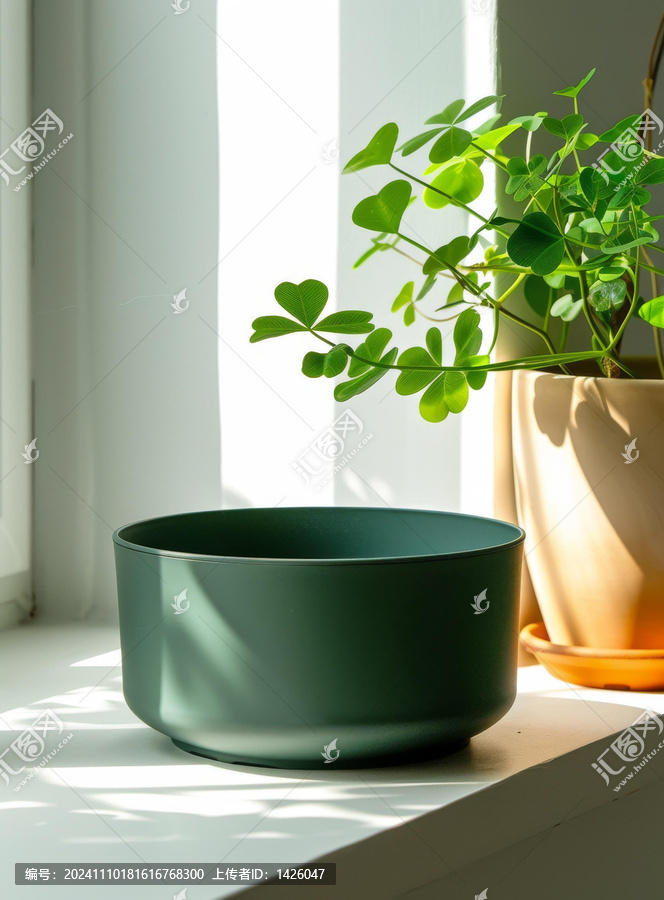 窗邊綠植盆栽