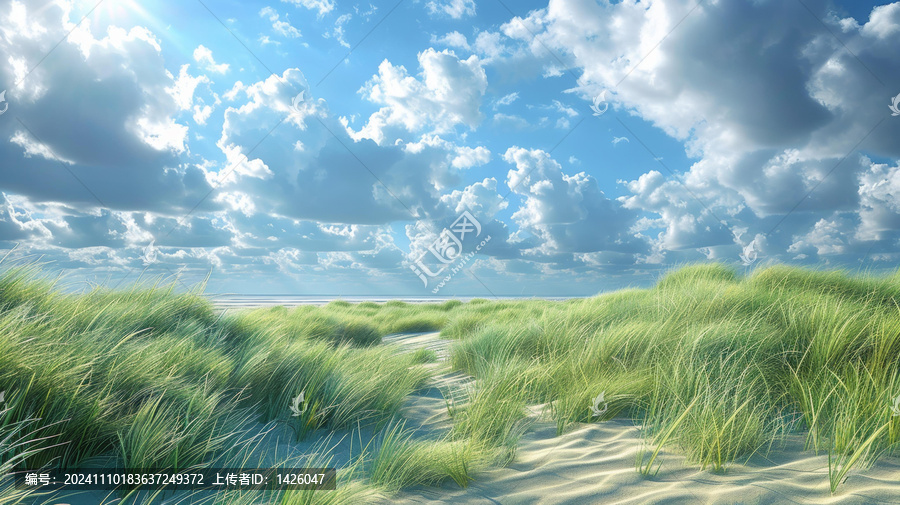 壯麗的海岸草原云霞