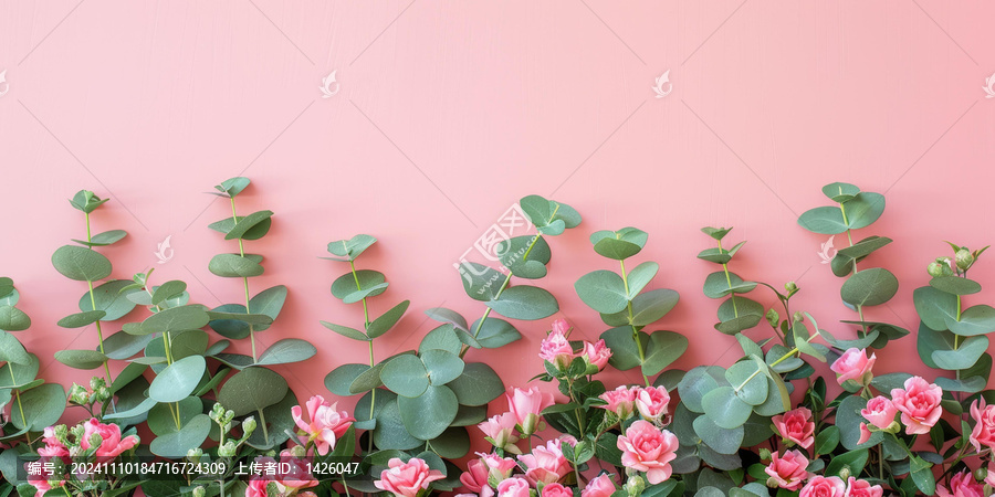 粉色的玫瑰和桉樹枝在粉紅色的背景上