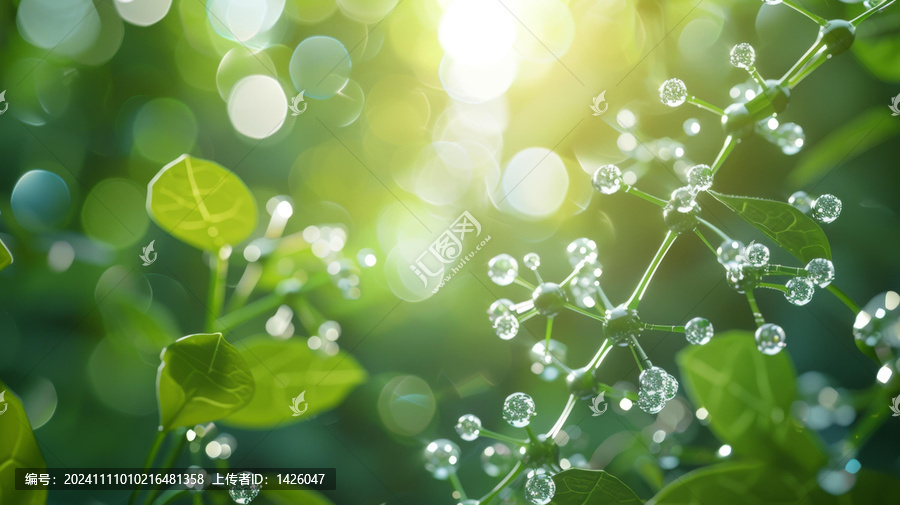 帶露水的綠葉和分子結(jié)構(gòu)