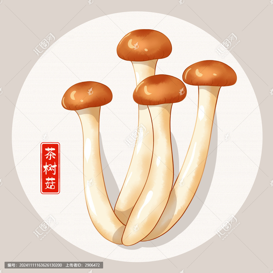茶樹(shù)菇插畫(huà)