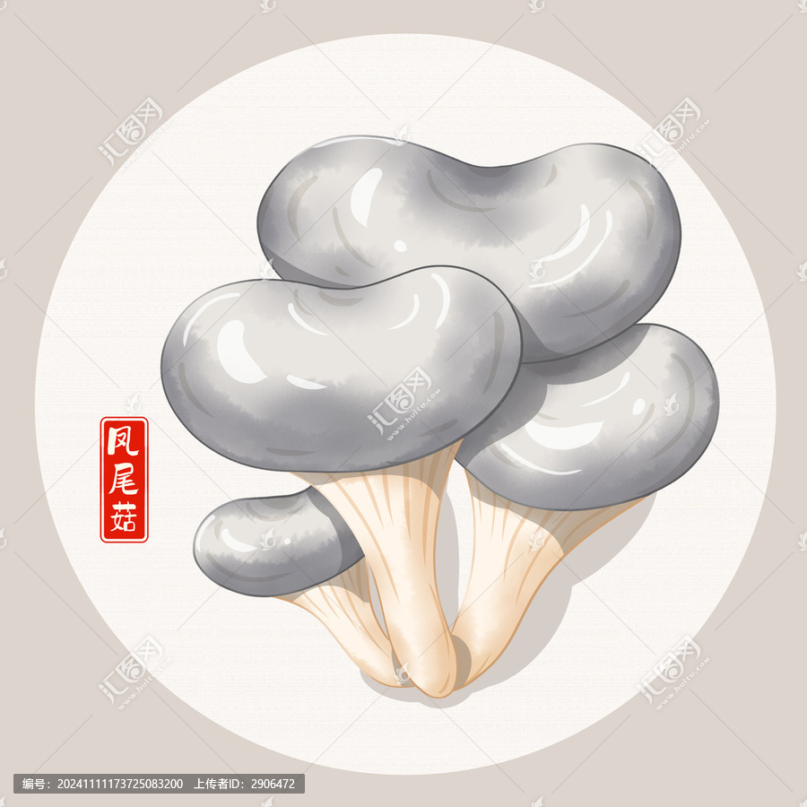 鳳尾菇插畫