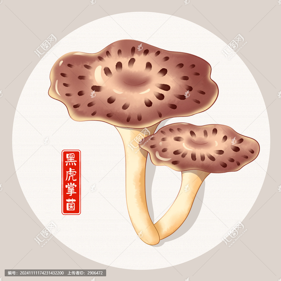 黑虎掌菌插畫