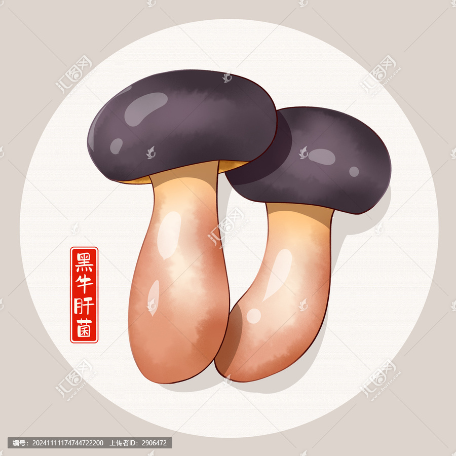 黑牛肝菌插畫