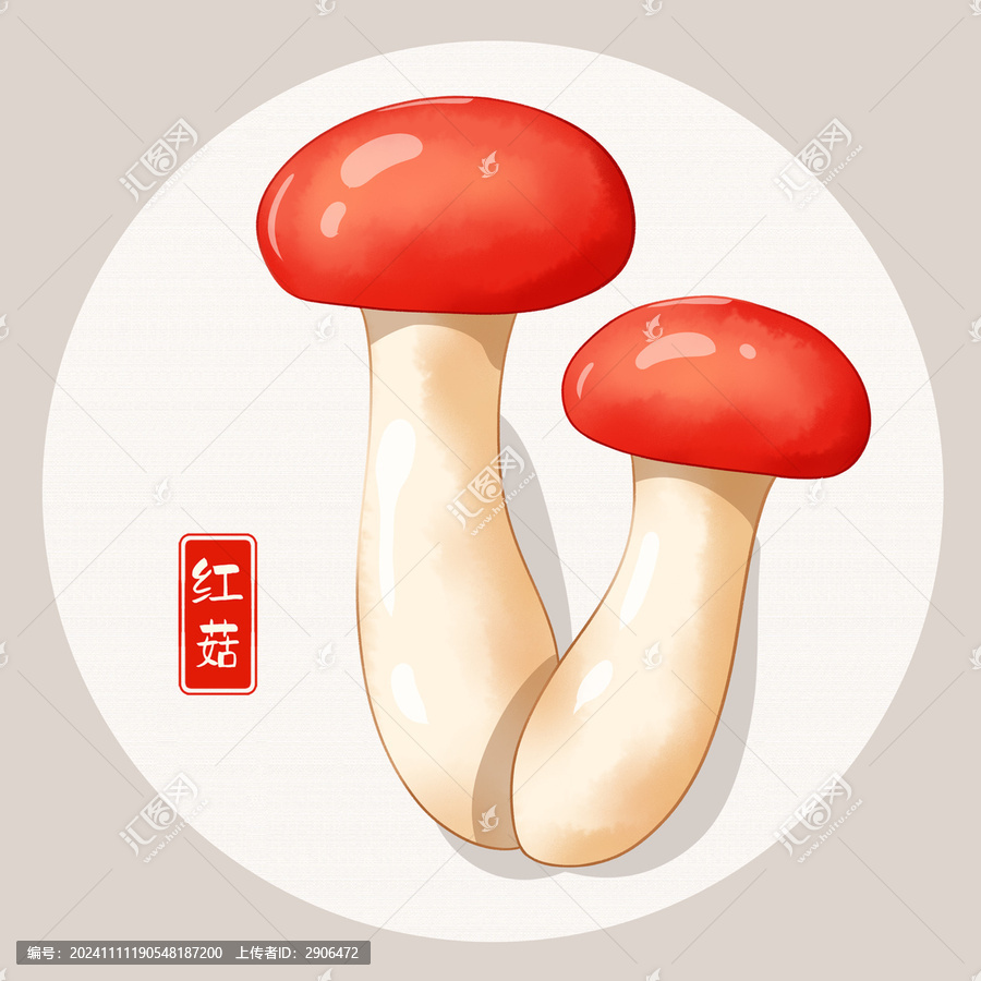 紅菇插畫
