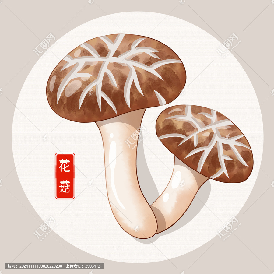 花菇插畫