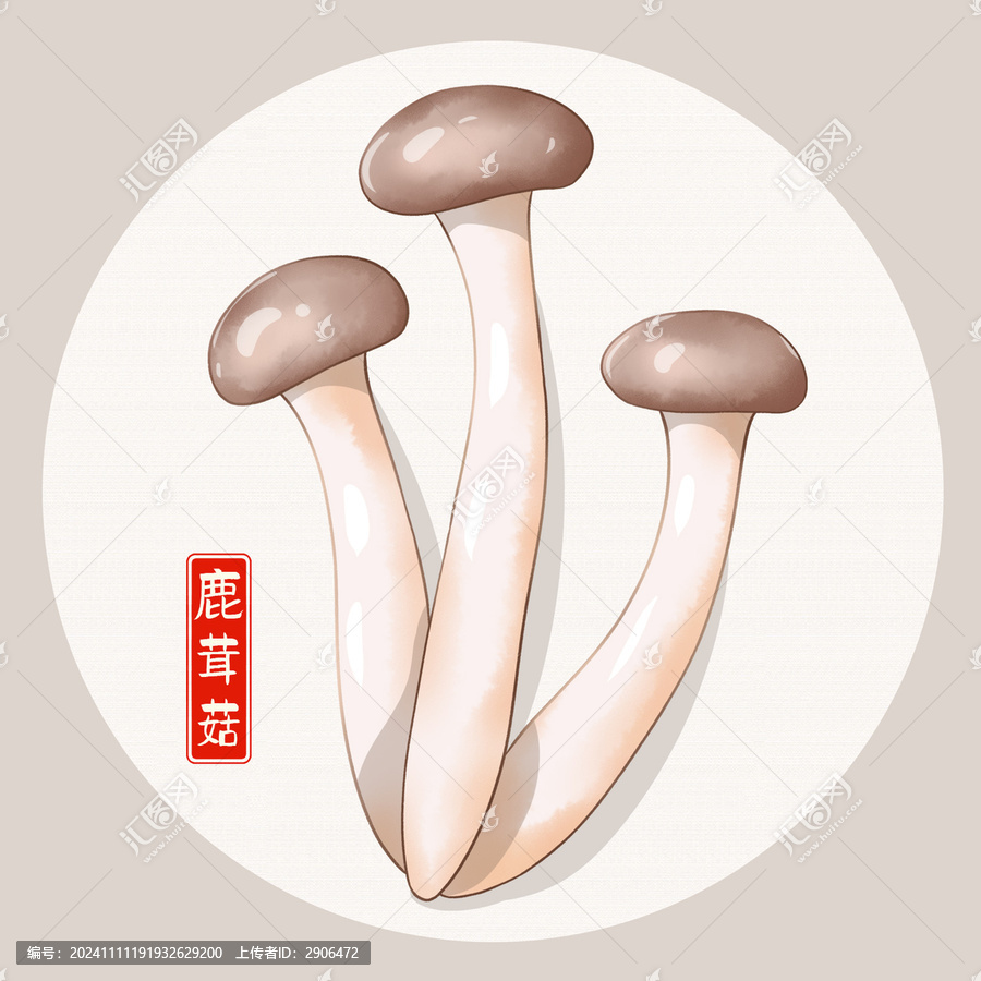 鹿茸菇插畫