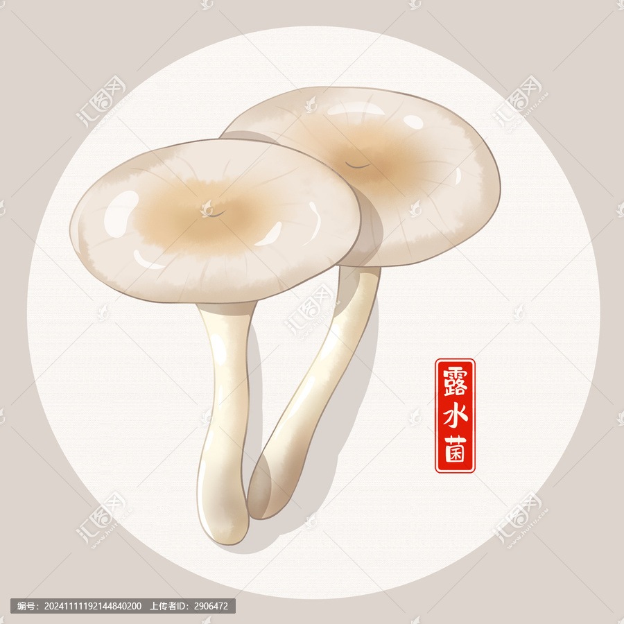 露水菌插畫