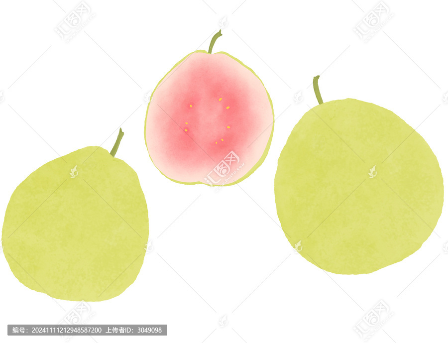 芭樂插畫