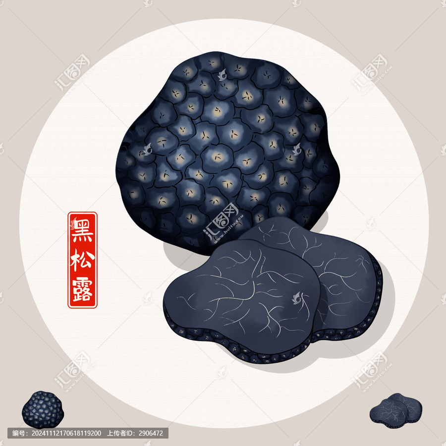 黑松露插畫