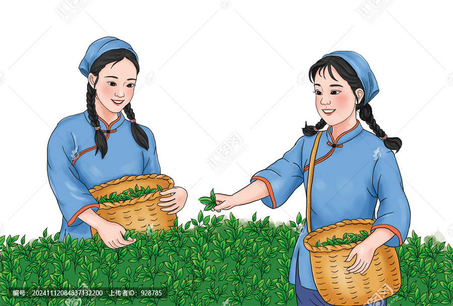 采茶女孩