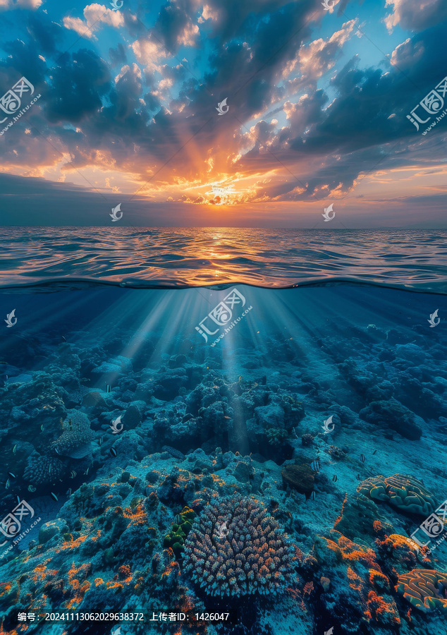 五彩繽紛的海底珊瑚礁和日落