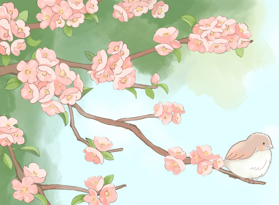 春天桃樹桃花插畫