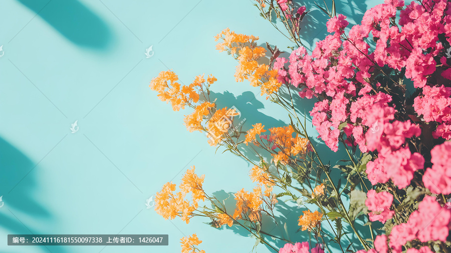 藍(lán)色背景上的粉色和黃色花朵