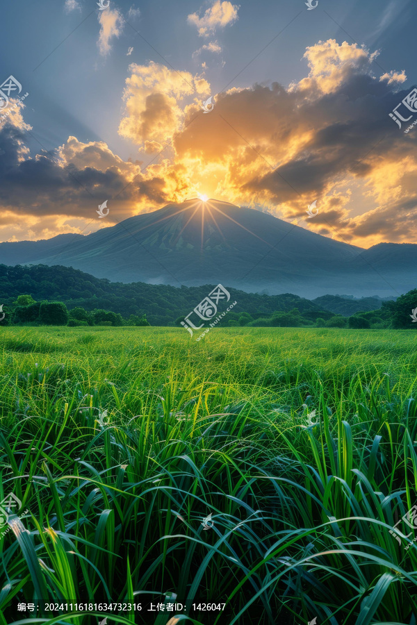 夕陽下的富士山和美麗的長草