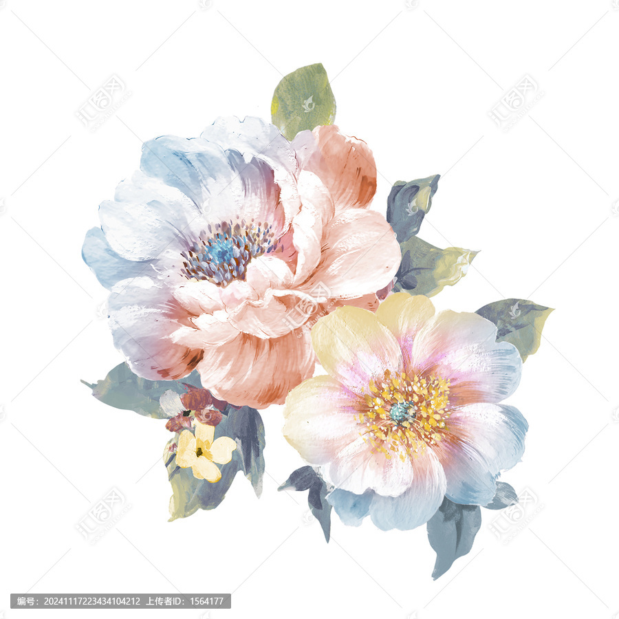 花卉