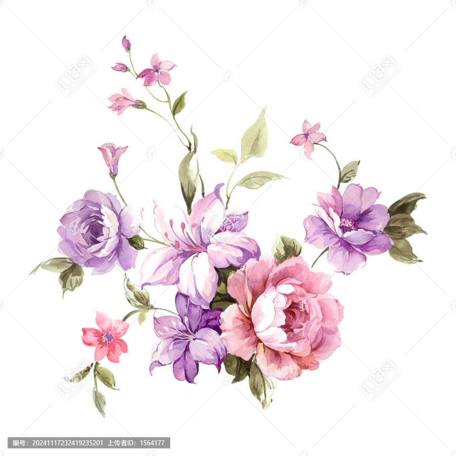 花卉