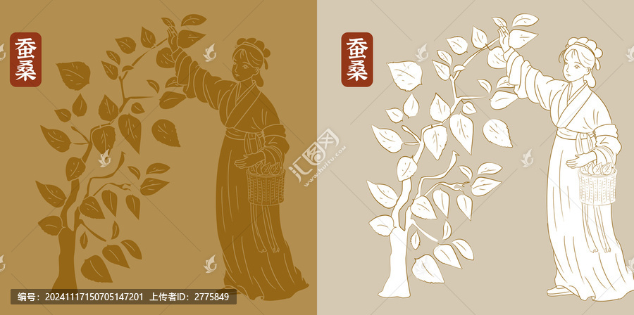 采桑白描