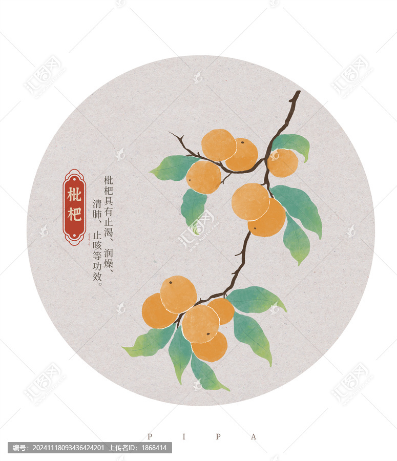 枇杷水彩插畫