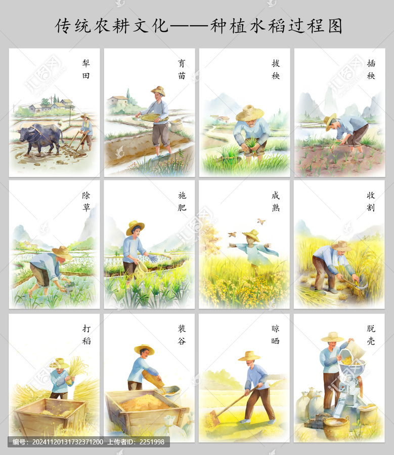 傳統(tǒng)農耕文化之種植水稻過程圖