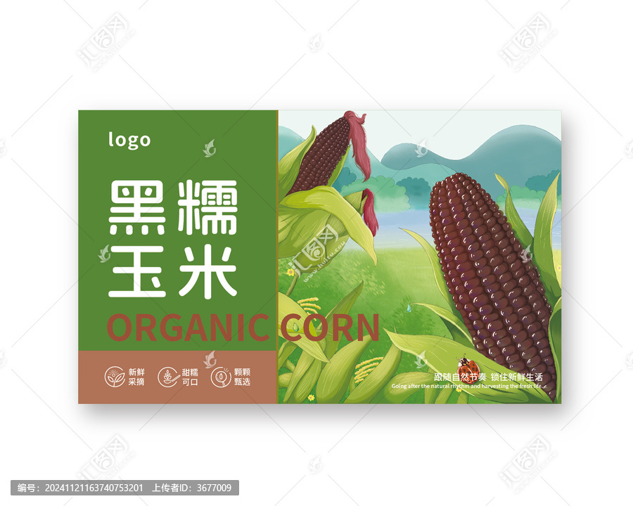 黑糯玉米包裝