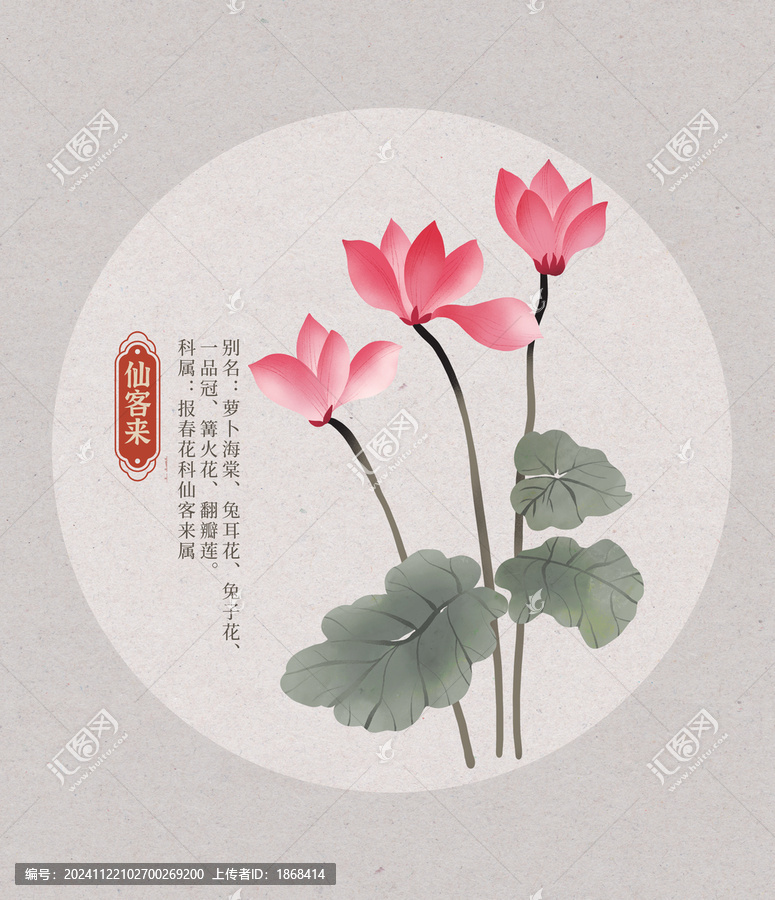 仙客來花朵國(guó)潮國(guó)風(fēng)水彩插畫