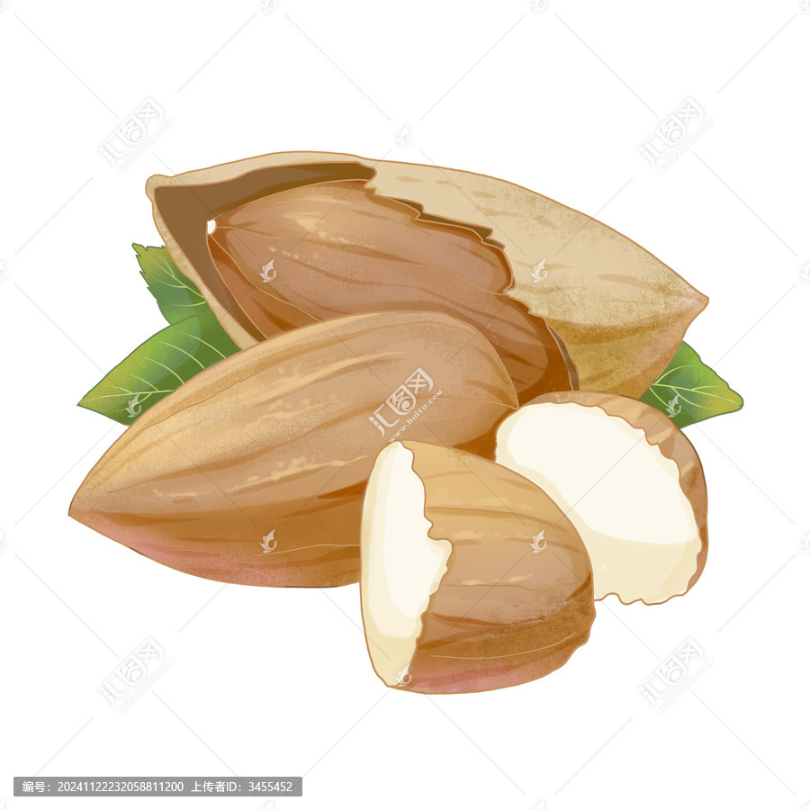 巴旦木插畫