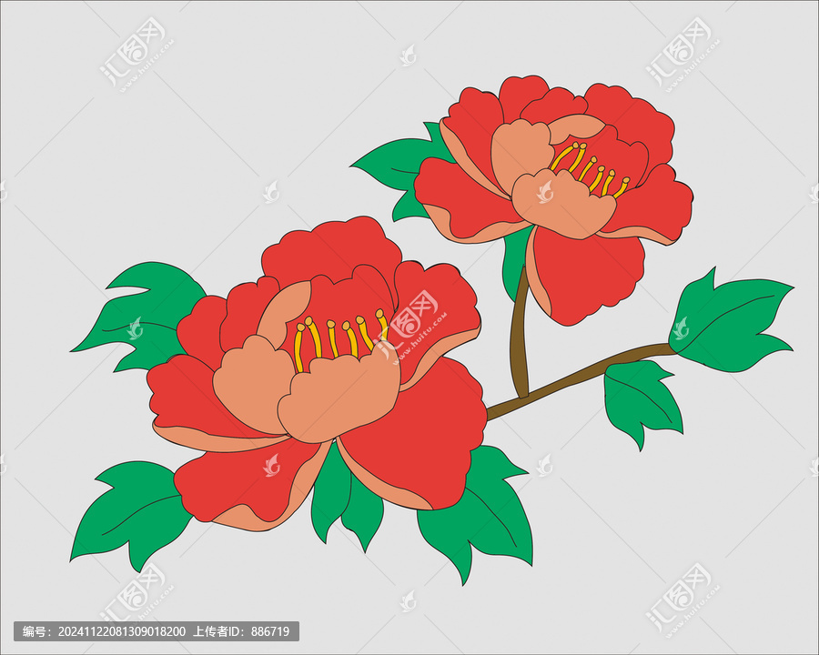 手繪牡丹花
