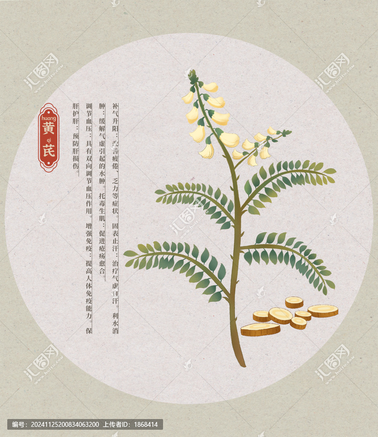 黃芪中草藥國潮國風(fēng)水彩插畫