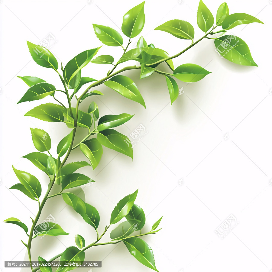 綠色枝葉素材