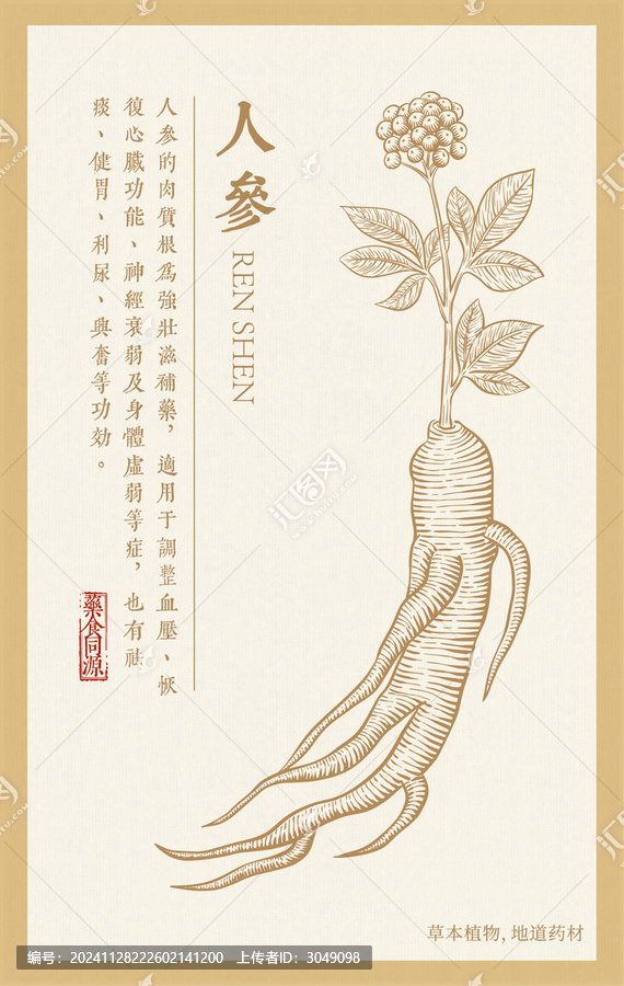 人參插畫