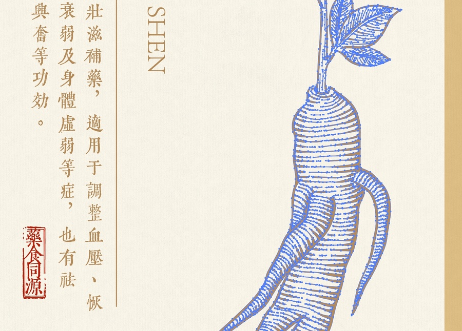 人參插畫