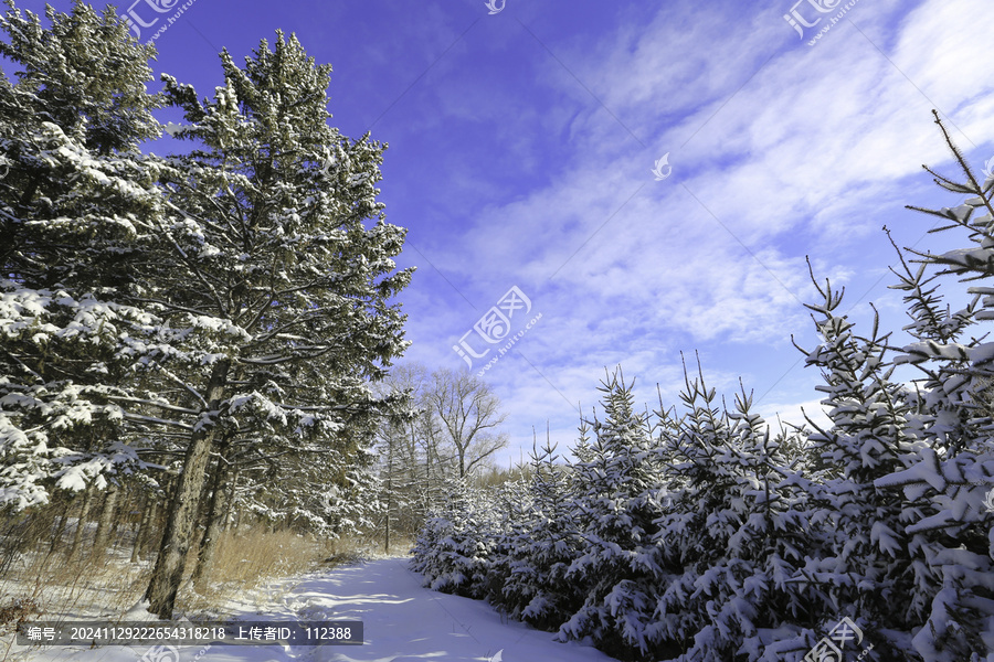 冰雪世界童話冬北雪鄉