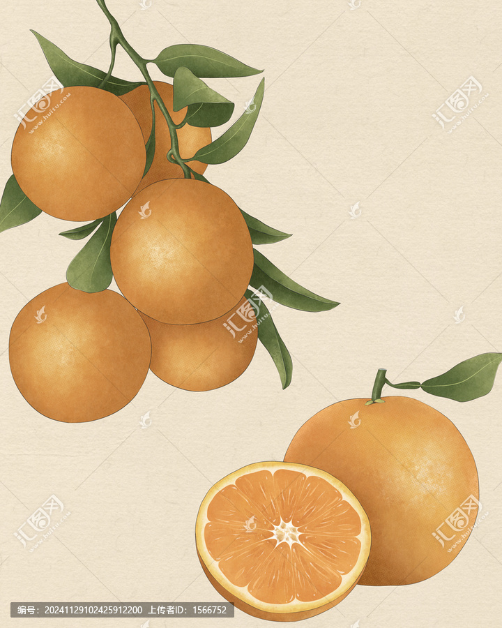 橙子