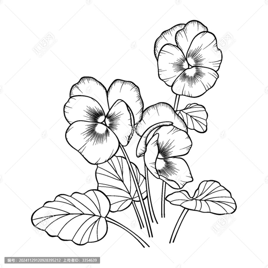 三色堇花簇黑色線(xiàn)稿