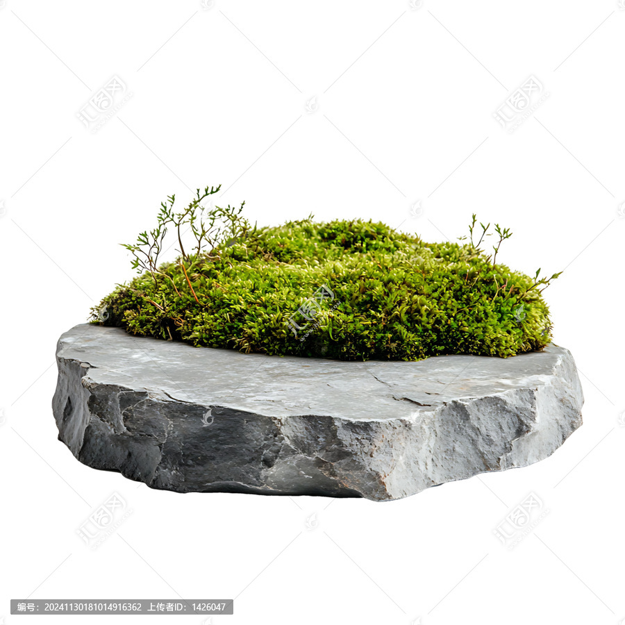 苔蘚巖石小景