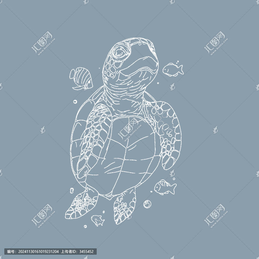海龜