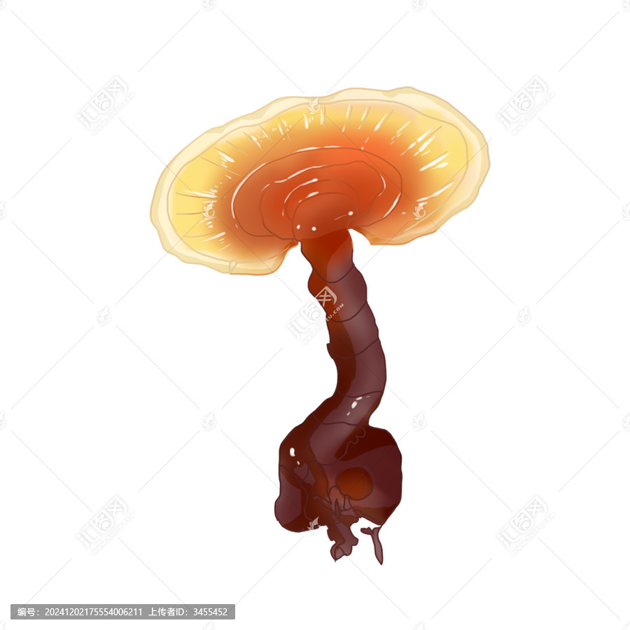 靈芝插畫