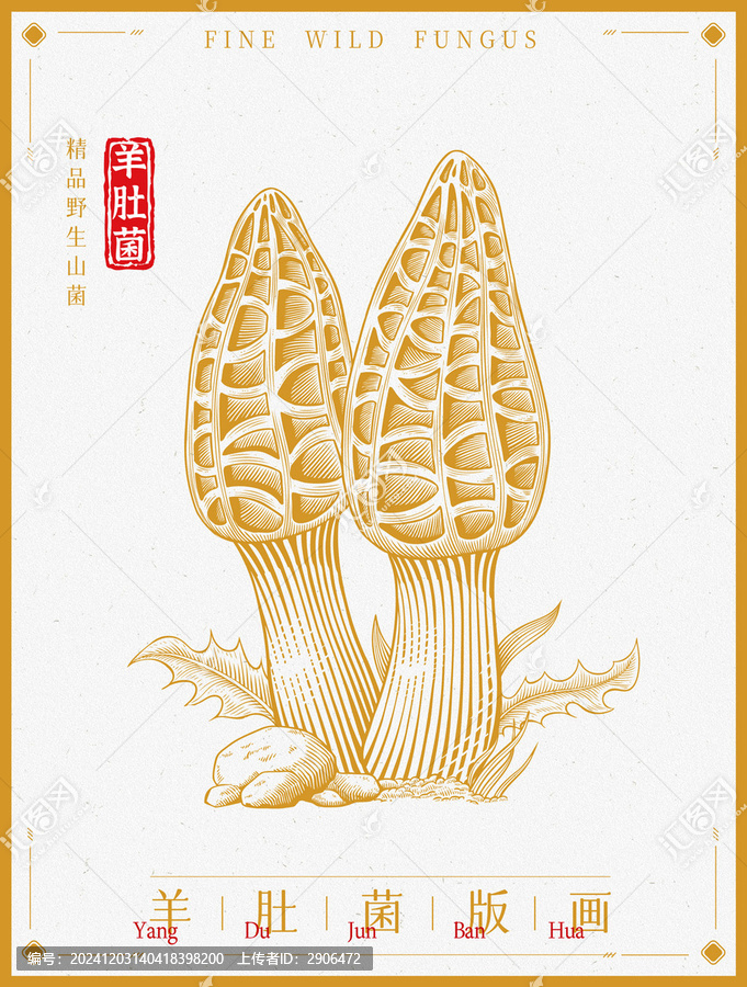 羊肚菌版畫(huà)插畫(huà)手繪