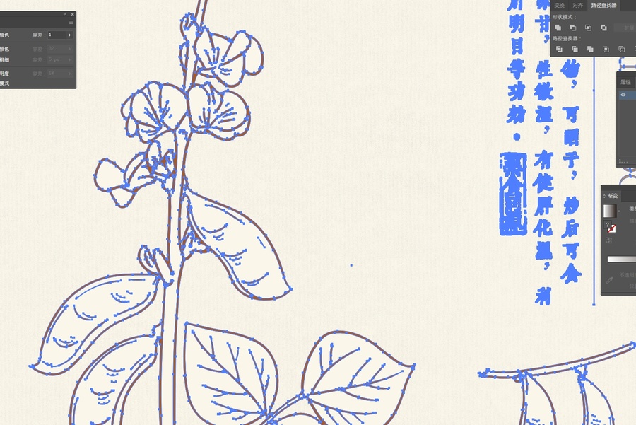 白扁豆