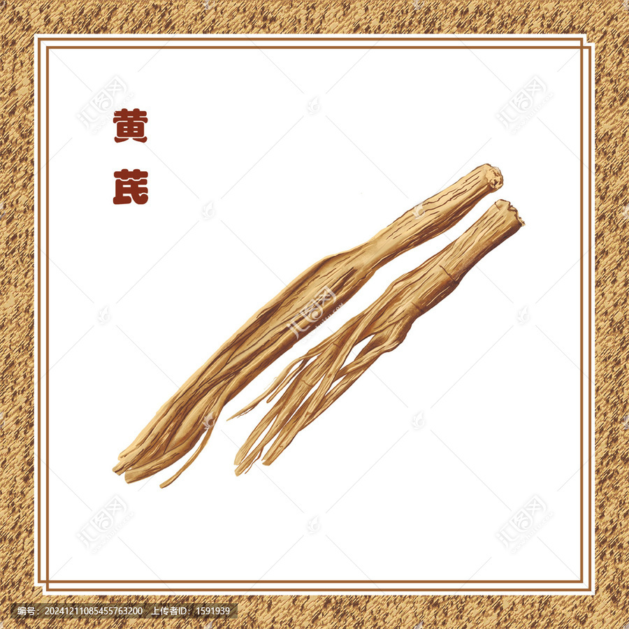 手繪黃芪干包裝插畫