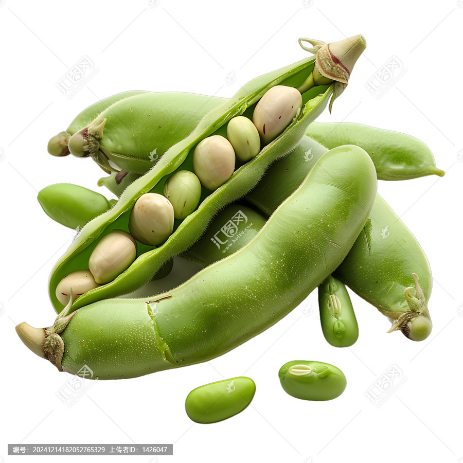 [免摳素材]新鮮蠶豆莢和蠶豆粒