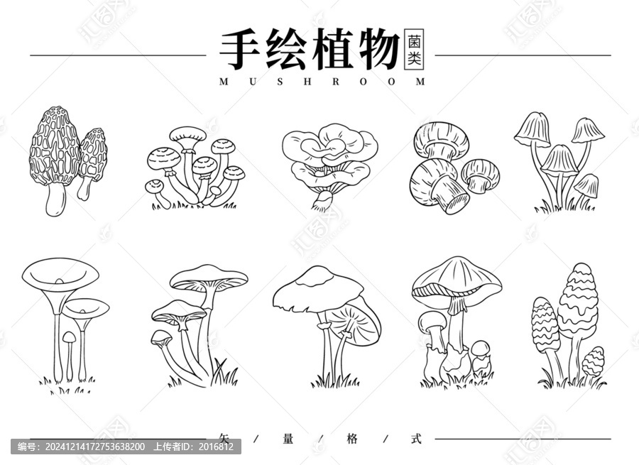 手繪植物線稿菌類