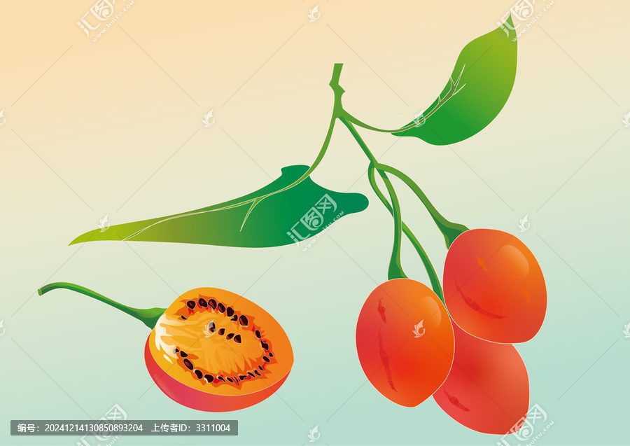 大樹番茄插畫