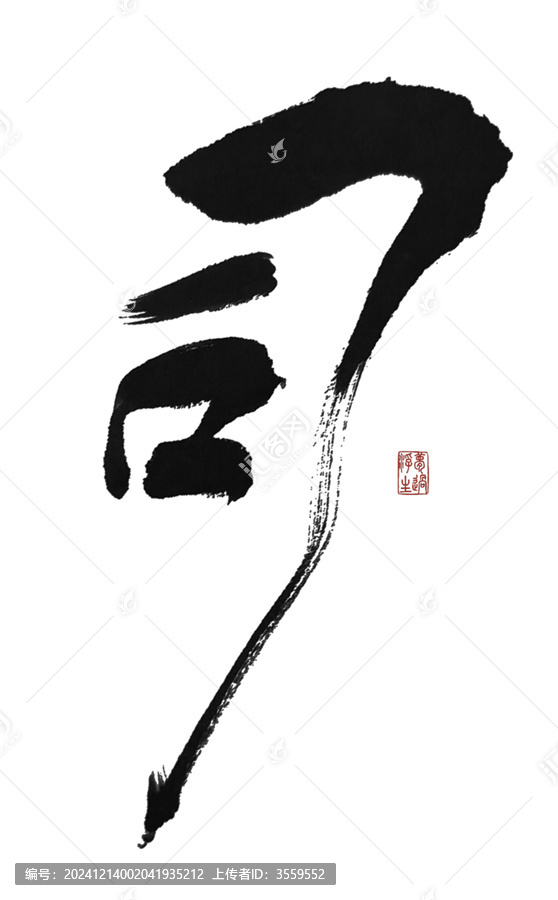 司